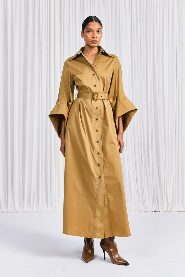 The Intention Dress